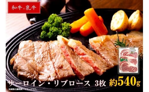 清麻呂 牛 ロース テキ肉 約540g（約180g×3枚） 岡山市場発F1牛肉