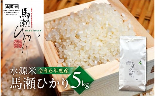 新米予約受付[令和6年産米]水源米 馬瀬ひかり 5kg『シェフセレクト』コシヒカリ 精米 2024年産 こしひかり 米 5キロ