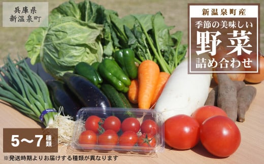 【新温泉町産】季節のおいしい野菜詰め合わせ 1401491 - 兵庫県新温泉町