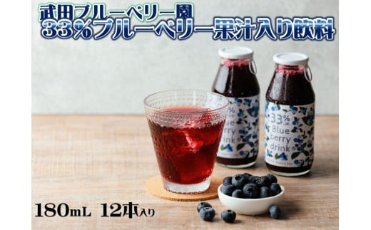 33%ブルーベリー果汁入り飲料 6本入×2箱[V002100SET2]