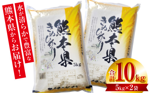 水が清らかで豊富な熊本県からきぬひかり10kgをお届け!