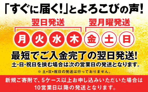 北海道千歳市のふるさと納税 キリン本麒麟＜北海道千歳工場産＞500ml（24本）