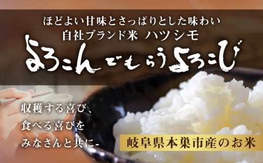 令和6年産 新米 受付 ハツシモ 20kg ( 10kg × 2袋） 幻の 米 こめ ごはん 白米 岐阜県産 本巣市 お米 玄米 精米 おにぎり 弁当  さっぱり 甘い 和食 おすすめ【よろこんでもらうよろこび】 ハーベストジョイ|有限会社ハーベストジョイ