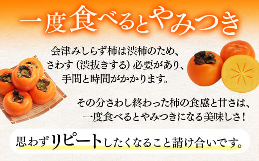 福島県会津坂下町のふるさと納税 【予約開始】 柿 会津みしらず柿 3Lサイズ 14個入り 約3kg フルーツ 果物 ギフト 渋柿 会津 伊藤果樹園 ※2024年11月頃より順次発送予定 23-B