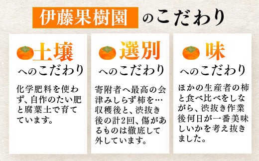 福島県会津坂下町のふるさと納税 【予約開始】 柿 会津みしらず柿 3Lサイズ 14個入り 約3kg フルーツ 果物 ギフト 渋柿 会津 伊藤果樹園 ※2024年11月頃より順次発送予定 23-B