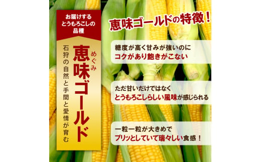 ストア ふるさと納税 朝採りとうもろこし【品種：恵味スター】_Gv016 福岡県久留米市