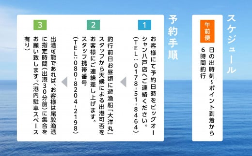 午前船】遊漁船 大洋丸 船釣り乗合利用権 尾鮫漁港 出港 - 青森県六ヶ所村｜ふるさとチョイス - ふるさと納税サイト