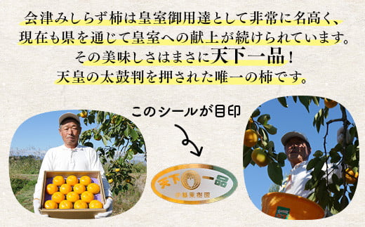 福島県会津坂下町のふるさと納税 【予約開始】 柿 会津みしらず柿 3Lサイズ 14個入り 約3kg フルーツ 果物 ギフト 渋柿 会津 伊藤果樹園 ※2024年11月頃より順次発送予定 23-B