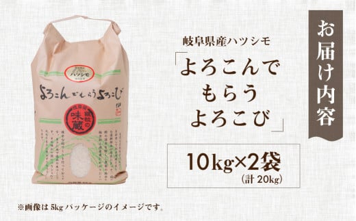 令和6年産 新米 受付 ハツシモ 20kg ( 10kg × 2袋） 幻の 米 こめ ごはん 白米 岐阜県産 本巣市 お米 玄米 精米 おにぎり 弁当  さっぱり 甘い 和食 おすすめ【よろこんでもらうよろこび】 ハーベストジョイ - 岐阜県本巣市｜ふるさとチョイス - ふるさと納税サイト