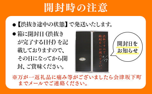 福島県会津坂下町のふるさと納税 【予約開始】 柿 会津みしらず柿 3Lサイズ 14個入り 約3kg フルーツ 果物 ギフト 渋柿 会津 伊藤果樹園 ※2024年11月頃より順次発送予定 23-B