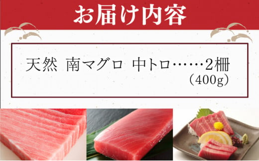 ふるさと納税 こわい 室戸市 天然メバチマグロ 【 中トロ 】400g(柵)