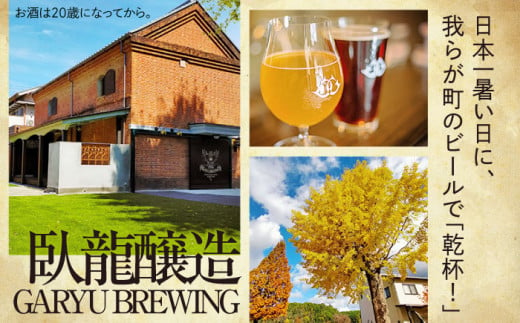 臥龍クラフトビール（愛媛県南予Ver.）2種計6本セット