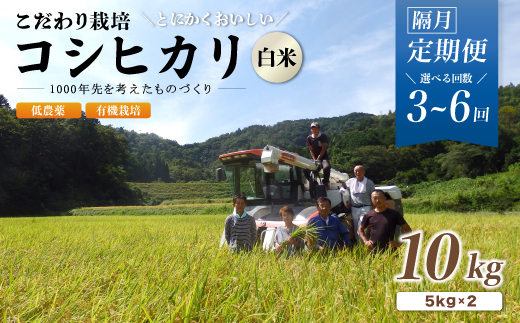 [定期便3〜6回隔月お届け]有機栽培コシヒカリ白米 10kg×3〜6回(隔月) 京都府産 低農薬 隔月お届け[ 定期便 隔月 米 10キロ 精米 白米 こめ コメ お米 おこめ こしひかり 井上吉夫 米農家 有機栽培米 有機栽培 農家直送 減農薬 綾部市 京都府 ]