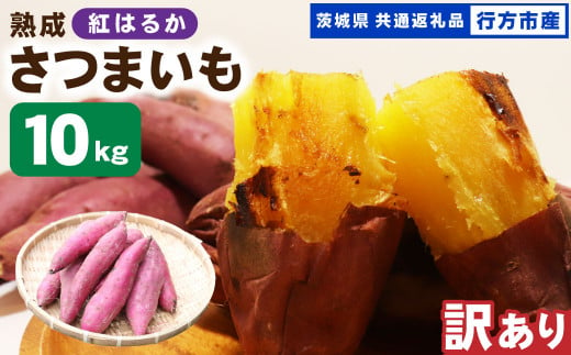 【 訳あり 】“熟成” 茨城県産 さつまいも 【 紅はるか 】 約10kg （茨城県共通返礼品・行方市産） 芋 いも サツマイモ 野菜 やさい 国産