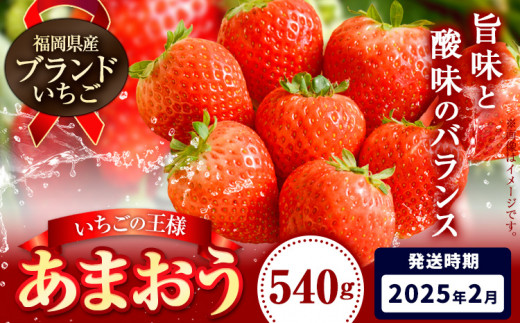 いちご あまおう 先行予約 いちご 大量 540g 選べる発送時期 定期便 フルーツ《2025年2月発送》苺 旬 くだもの 果物 福岡県 鞍手町 1433756 - 福岡県鞍手町