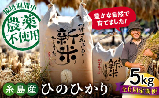 【白米】【全6回定期便】 糸島産 雷山のふもとの米 農薬不使用 5kg 糸島市 / ツバサファーム [ANI004-1] 白米 玄米 1188488 - 福岡県糸島市