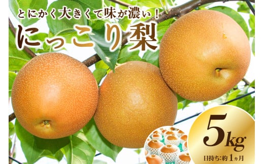 JAなすの産　梨　にっこり　5kg 【栃木県共通返礼品】 ns096-001 1403457 - 栃木県那須塩原市