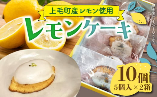 【ナチュラルファーム菓樹】レモンケーキ 10個（5個入×2箱）～上毛町産レモン使用～  NK1106 1415445 - 福岡県上毛町