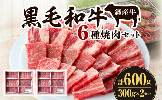 黒毛和牛（経産牛）6種焼肉セット300g × 2（計600g）_M132-078 1405024 - 宮崎県宮崎市