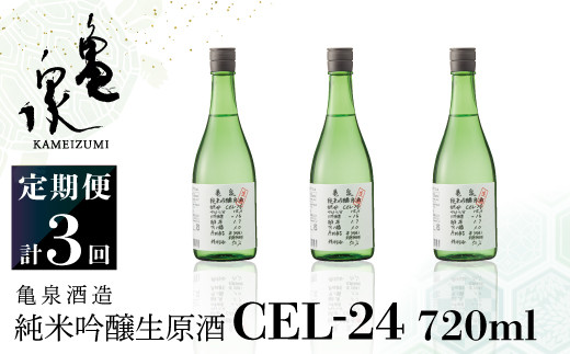 純米吟醸生原酒 CEL-24 720ml 生酒 毎月1本×3回 定期便 お酒 酒 さけ 日本酒 アルコール 生原酒 アルコール度数14度 14% 甘口 フルーティ 食中酒 地酒 亀泉酒造 おいしい 飲みやすい 冷蔵 配送