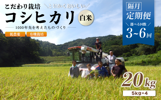 [定期便3〜6回隔月お届け]有機栽培コシヒカリ白米 20kg×3〜6回(隔月) 京都府産 低農薬 隔月お届け[ 定期便 隔月 米 20キロ 精米 白米 こめ コメ お米 おこめ こしひかり 井上吉夫 米農家 有機栽培米 有機栽培 農家直送 減農薬 綾部市 京都府 ]