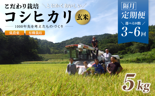 [定期便3〜6回隔月お届け]有機栽培コシヒカリ玄米 5kg×3〜6回(隔月) 京都府産 低農薬 隔月お届け [ 定期便 隔月 米 5キロ 玄米 こめ コメ お米 おこめ こしひかり 食物繊維 栄養 真空パック 井上吉夫 米農家 有機栽培米 有機栽培 農家直送 減農薬 綾部市 京都府 ]