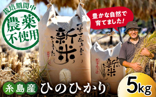 [白米]糸島産 雷山 のふもと 栽培期間中 農薬 不使用 の米 5kg ひのひかり [2024年10月下旬以降順次発送] ヒノヒカリ 糸島市 /ツバサファーム [ANI001-1] 11000円 常温