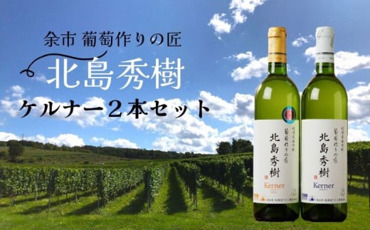 葡萄作りの匠「北島秀樹」ケルナーセット 949316 - 北海道余市町