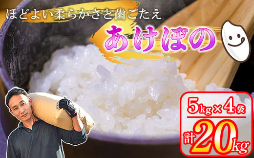 令和6年産 先行予約 岡山県産米 20kg(5kg×4袋) あけぼの 2025年2月～発送 / 関連キーワード くらしき米米 10kg 5kg 令和6年産 岡山県産 朝日 白米 分付き米 5分付き 7分付き 美味しいお米 【202406_感想が良い】米/ 1457619 - 岡山県早島町