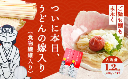 ついに本日、うどんの嫁入り(食物繊維入り) 1.2kg(200g×6束)タナカ製麵所 岡山県浅口市 岡山県 浅口市《30日以内に出荷予定(土日祝除く)》小麦粉（国産、オーストラリア産）イソマルトデキストリン 食塩 うどん 麺 送料無料