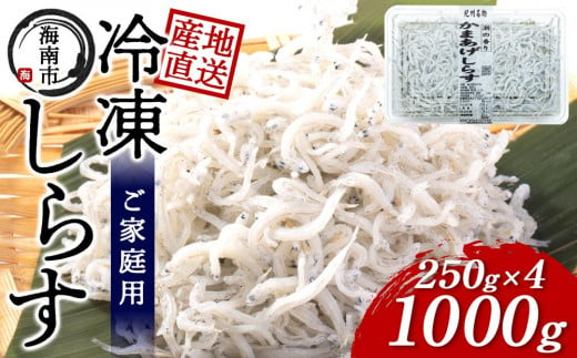 産地直送 ご家庭用 冷凍 しらす 1000g （250g × 4 ）（ 冷凍 ） 1304679 - 和歌山県海南市