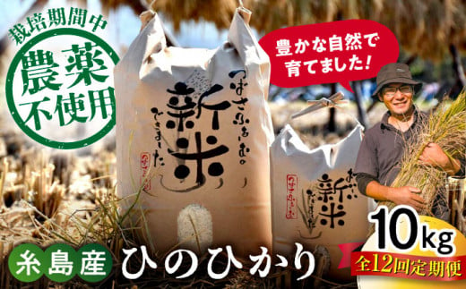 【白米】【全12回定期便】 糸島産 雷山のふもとの米 農薬不使用 10kg 糸島市 / ツバサファーム [ANI008-1] 白米 玄米