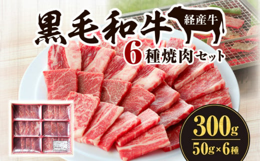 黒毛和牛（経産牛）6種焼肉セット300g_M132-077 1405023 - 宮崎県宮崎市