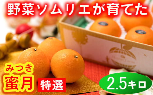 豊予農場限定!野菜ソムリエ石児さんの「特選 蜜月(みつき) 2.5kg」 ミカン みかん 柑橘 2.5kg 柑橘類 フルーツ 12月 1月 先行予約 [103-009_5]