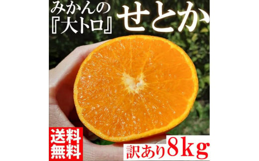 せとか ＜別名-みかんの大トロ＞ 和歌山県有田川町産 オレンジ 家庭用 8kg
