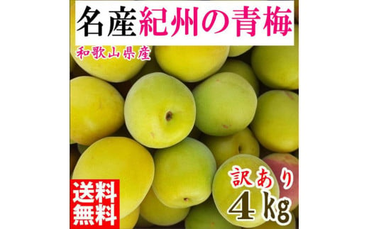 青梅 4kg 紀州南高梅 シロップ・梅酒・梅干し用等 和歌山県有田産 訳あり 2025年5月下旬～7月上旬発送予定 - 和歌山県有田川町｜ふるさとチョイス  - ふるさと納税サイト