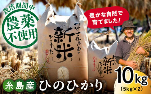 [玄米]糸島産 雷山 のふもと 栽培期間中 農薬不使用 の 米 10kg(5kg×2)ひのひかり [2024年10月下旬以降順次発送]ヒノヒカリ 糸島市 / ツバサファーム[ANI002-2] 20000円 2万円 常温