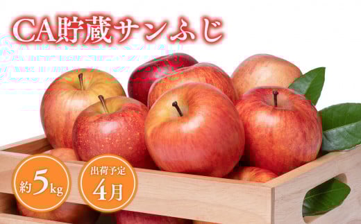 4月 CA貯蔵サンふじ 約5kg【青森県 平川市 森山商店 】平川市産 青森りんご 4月 林檎 リンゴ サンふじ ふじ 葉とらず 平川市 青森県 