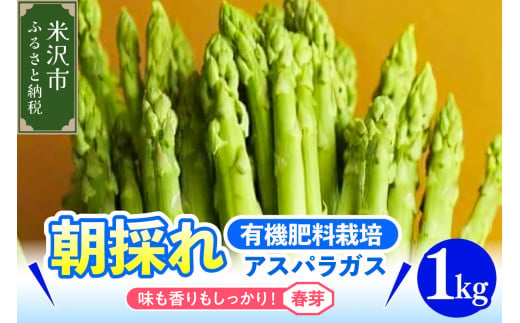 《 先行予約 》【 令和7年産 春芽 】 アスパラガス 1kg 1箱 〔 発送 ： 2025年5月中旬頃 ～ 6月中旬頃 まで 〕 朝採り 有機肥料栽培 1323467 - 山形県米沢市