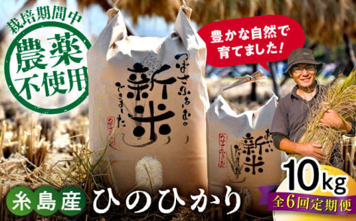 【白米】【全6回定期便】 糸島産 雷山のふもとの米 農薬不使用 10kg 糸島市 / ツバサファーム [ANI007-1] 白米 玄米 1188492 - 福岡県糸島市