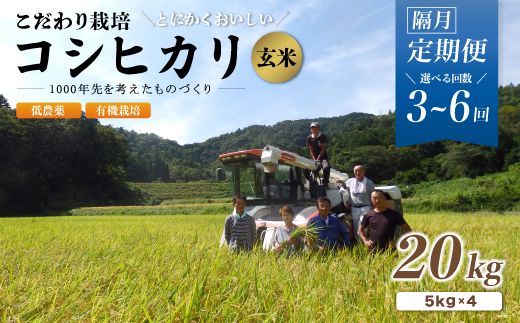 [定期便3〜6回隔月お届け]有機栽培コシヒカリ玄米 20kg×3〜6回(隔月) 京都府産 低農薬 隔月お届け [ 定期便 隔月 米 20キロ 玄米 こめ コメ お米 おこめ こしひかり 食物繊維 栄養 真空パック 井上吉夫 米農家 有機栽培米 有機栽培 農家直送 減農薬 綾部市 京都府 ]