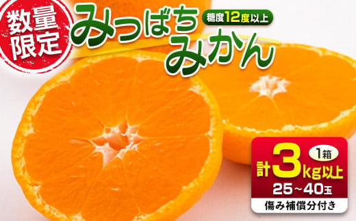 先行受付 数量限定 みつばちみかん 計3kg以上 傷み補償分付き 期間限定 フルーツ 果物 果汁 糖度 くだもの みかん ミカン 柑橘 オレンジ 国産 食品 デザート おやつ おすすめ 産地直送 おすそ分け ギフト 贈り物 プレゼント 特産品 宮崎県 日南市 送料無料_B235-24 423835 - 宮崎県日南市