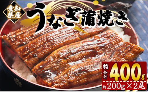 うなぎ蒲焼き 国産 鰻 約200g×2尾(
