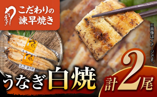 うなぎ白焼き2尾 うなぎ ウナギ 鰻 白焼き 白焼 国産