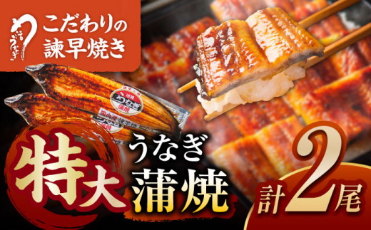 特大うなぎ蒲焼2尾 うなぎ ウナギ 鰻 特大 蒲焼き 蒲焼 国産 冷凍