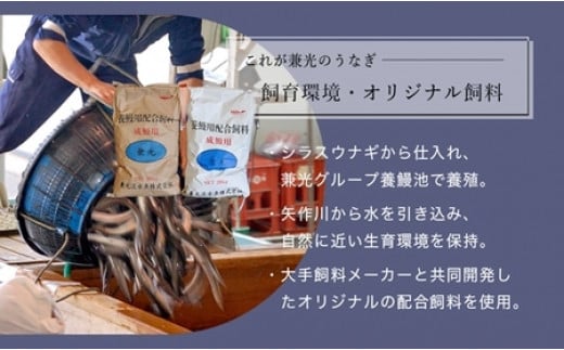 愛知県西尾市のふるさと納税 炭火手焼き 愛知県三河一色産　うなぎ蒲焼き　特大　2尾（1尾あたり186g以上） 国産うなぎ うなぎ ウナギ 鰻 鰻の蒲焼き 鰻の蒲焼 蒲焼 蒲焼き 土用 土用の丑の日 土用丑の日 丑の日 ・U037