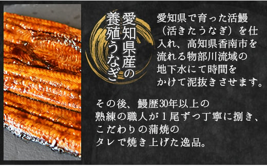 うなぎ蒲焼 国産 鰻 約200g×2尾(愛知県産) 人気 養殖 冷凍 ウナギ かばやき 惣菜 お手軽 加工品 加工食品 魚介類 フジ物産  fb-0013|フジ物産株式会社高知支店