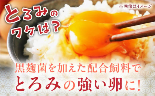 熊本そだち 30個入り ( 10個入り × 3パック ) 熊本県産 山都町 たまご 卵