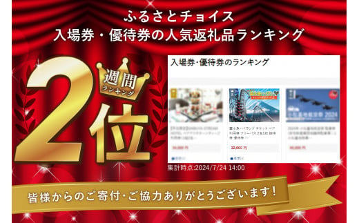 山梨県富士吉田市のふるさと納税 富士急ハイランド チケット ペア 利用券 フリーパス 2名1組 招待券 優待券 山梨 トーマスランド 遊園地