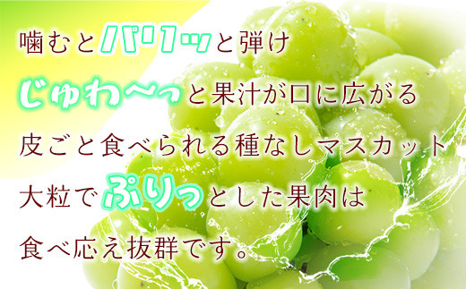 岡山県産 シャインマスカット 約5kg前後（6房～8房）9月～発送予定 先行予約 / 関連キーワード 家庭用 岡山 岡山県 晴王 はれおう ハウス  2024年発送 岡山県産 シャインマスカット 葡萄 ぶどう 果物 くだもの フルーツ 訳あり 700g 1400g 1.2kg以上 1.4kg 5kg  1kg 1房 2.0 ...